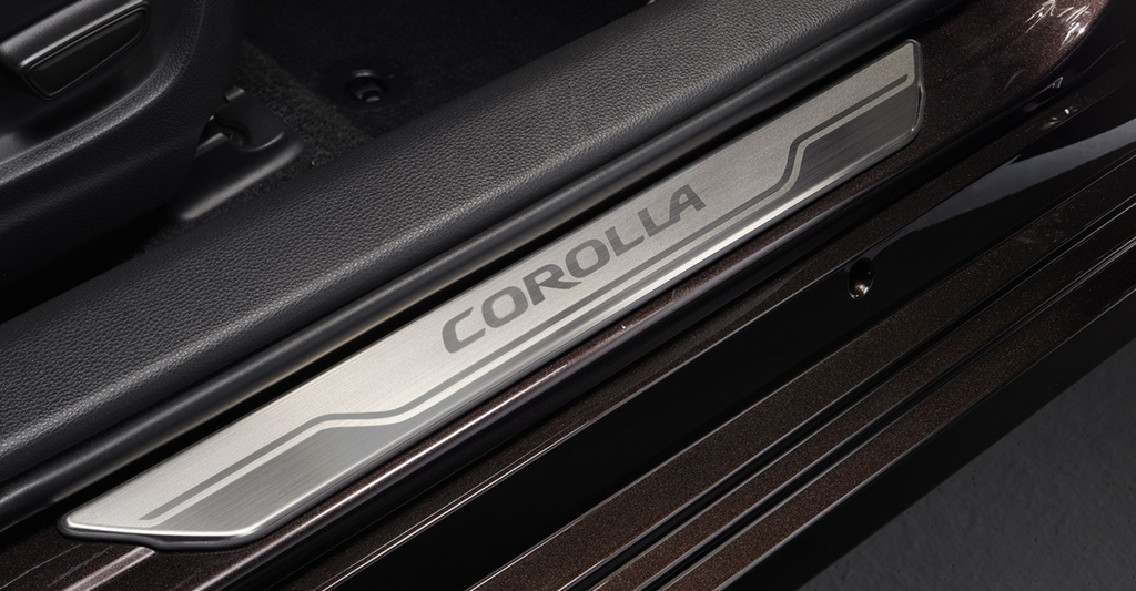 Scuff Plate