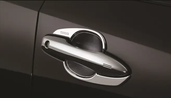 Chrome Door Housing