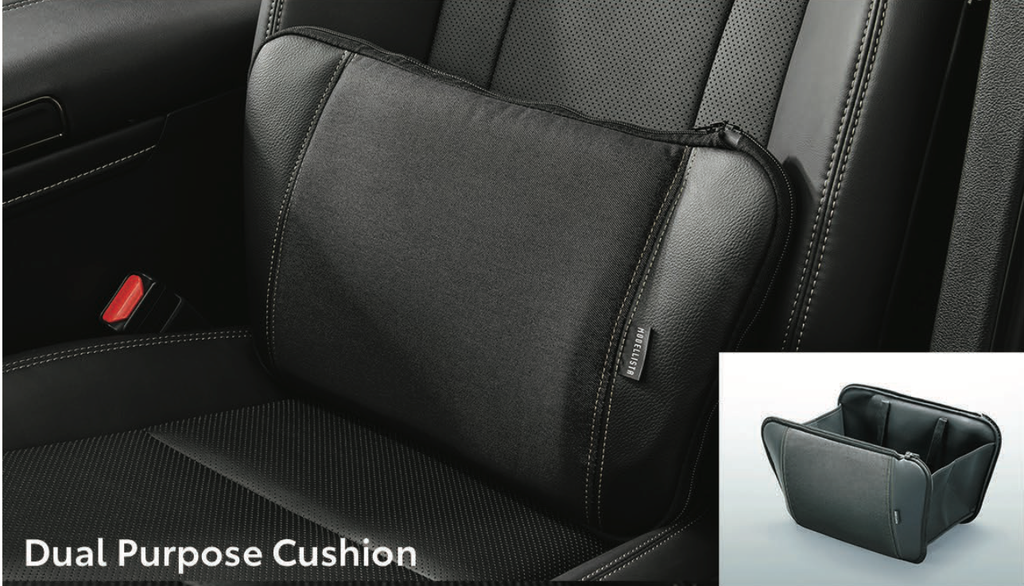 Dual Purpose Cushion