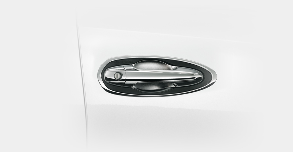 Chrome Door Housing