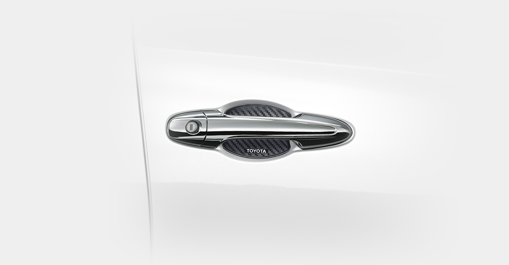 Door Handle Garnish