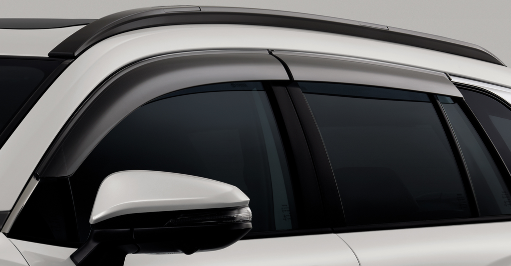 Side Visor