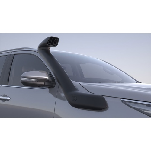 Snorkel
