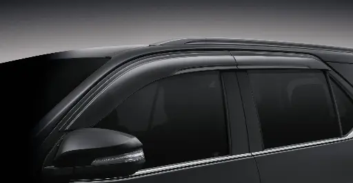 Side Visor