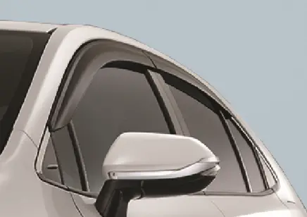 Side Visor