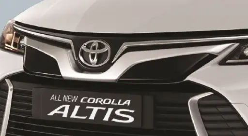 Upper Grille Garnish