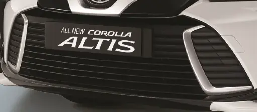 Lower Grille Garnish
