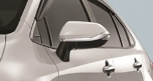 Side Mirror Chrome Garnish