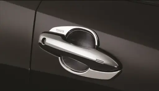 Chrome Door Housing