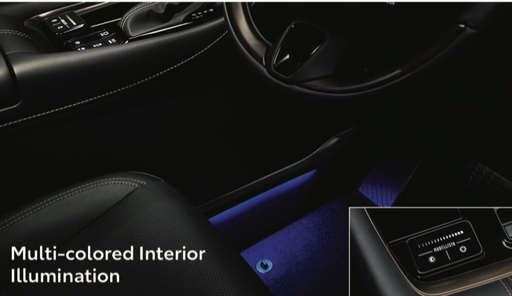 Multi-Colored Interior Illumination