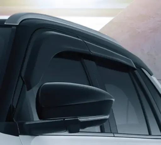 Side Visor