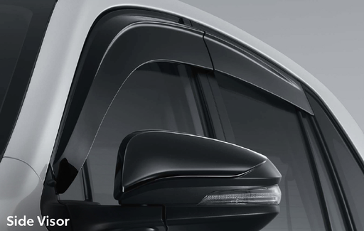 Side Visor
