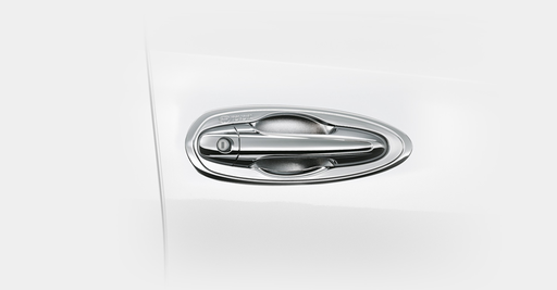 Chrome Door Housing, 2 pcs.
