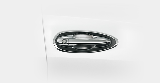 Chrome Door Housing