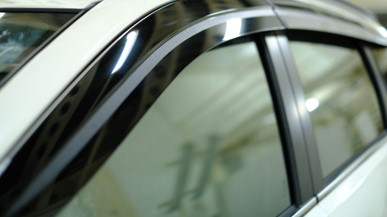 Side Visor