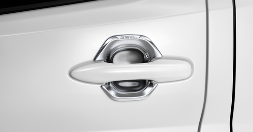 CHROME DOOR HOUSING