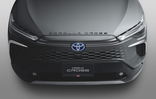 Hood Emblem Black