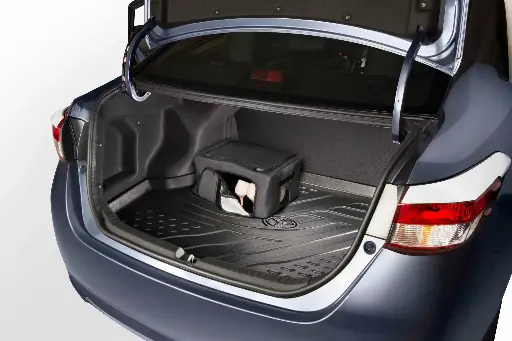 SHOE ORGANIZER TRUNK 