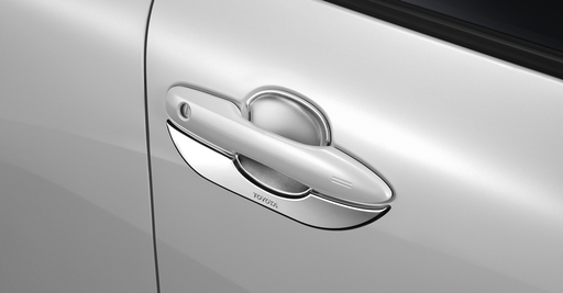 Door Housing Chrome