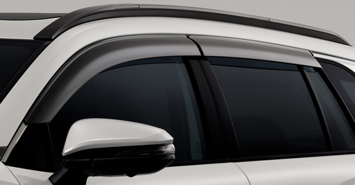 Side Visor